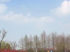 -澹台湖公园