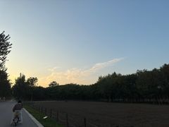 -汉长安城未央宫国家考古遗址公园