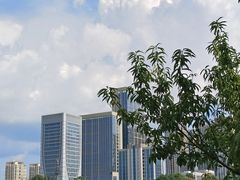 -洛龙公园