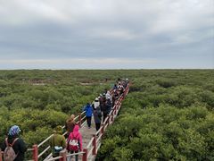-北海金海湾红树林生态旅游区
