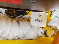 -H立方实景剧情密室(天河旗舰店)