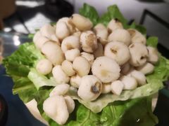 小马蹄-凤园椰珍·臻品椰子鸡(保利时光里店)