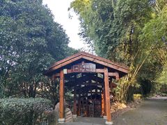 -九曲溪竹筏码头