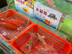 -渔民新村(番禺总店)