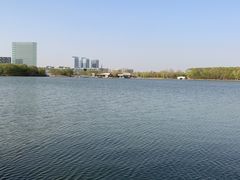 -大兴滨河森林公园