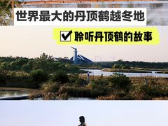 -盐城丹顶鹤湿地生态旅游区