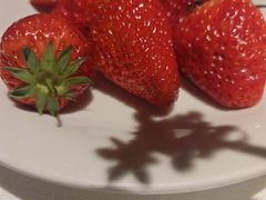 -领仕扒房(长春店)