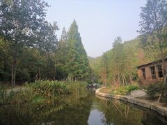 -白水寺森林公园