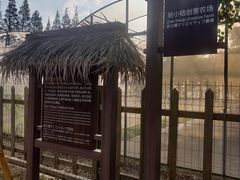 -前小桔亲子创意农场·草莓采摘·露营烧烤