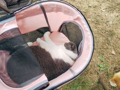 -趣多多宠物公园·宠物训犬学校·宠物寄养