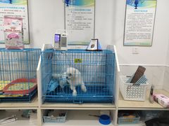 -萌兽医馆·宠物医院·猫骨科(创景店)