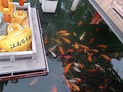 -豫园湖心亭茶楼