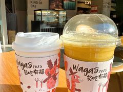 拳击菠-Wagas沃歌斯(环贸店)