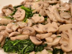 荠菜蘑菇-松鹤楼(山塘街店)