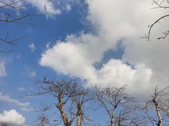 -芒洲湿地公园