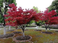 -江南大学(蠡湖校区)