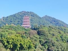 -清溪大王山森林公园