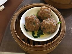 -东方御宴海鲜酒楼(棕泉酒店)