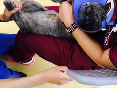 -芭比堂动物医院·犬猫全科·异宠专科(雁塔分院)