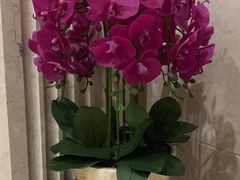 -东吴水韵(吴中店)