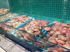 -曼格活海鲜·牛排自助(光明蓝鲸店)