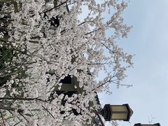 -湘湖金融镇