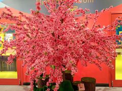 -上海乐高探索中心