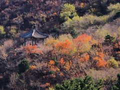 -香山公园