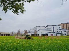 -乌村
