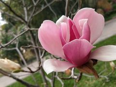 -晓港公园