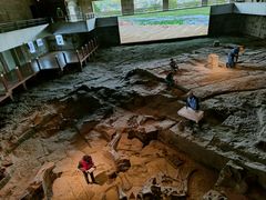 -自贡恐龙博物馆