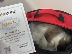 -纳吉亚猫专科动物诊疗中心(蒋宅口分院)