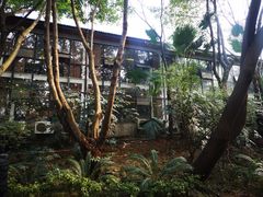 -巴山一绝烤全羊(三圣乡刘家花园店)