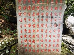 -黄山翡翠谷景区