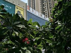 -布吉佳兆业广场