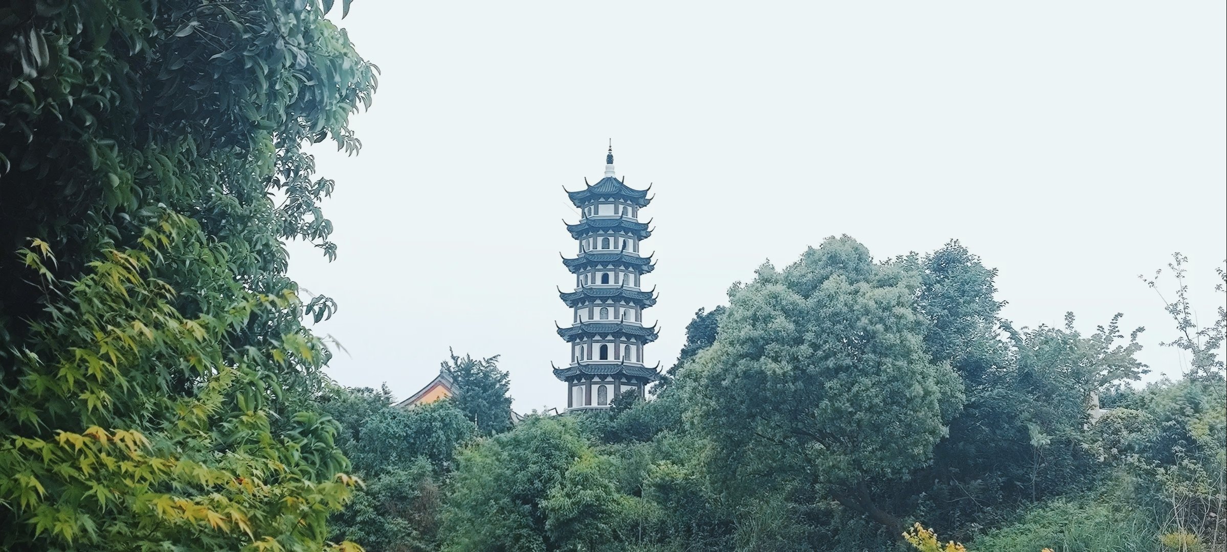 先照禅寺图片