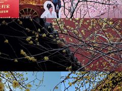 -钱王祠