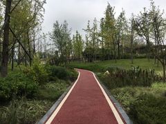 -府河摄影公园