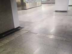 -陆家浜路(地铁站)
