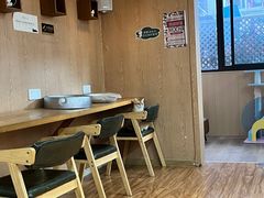 -MOCHA明星猫咖(田子坊店)