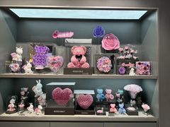 -ROSEONLY诺誓(国际广场购物中心店)