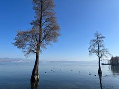 -大理洱海