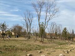 -盘龙城国家考古遗址公园