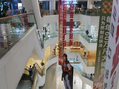 -金茂览秀城