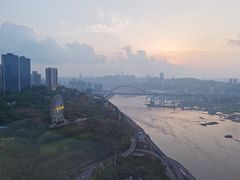 -李子坝梁山鸡(李子坝大鸡哥店)