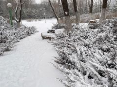 -滨河世纪广场公园