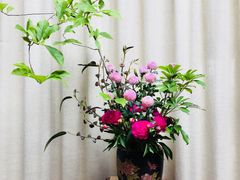 -白鹭原茶艺馆