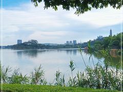 -顺峰山公园