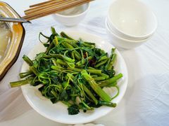 -明升萝卜汤
