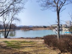 -长广溪湿地公园